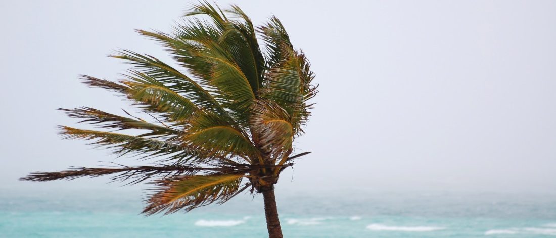 how much wind is needed for kiteboarding